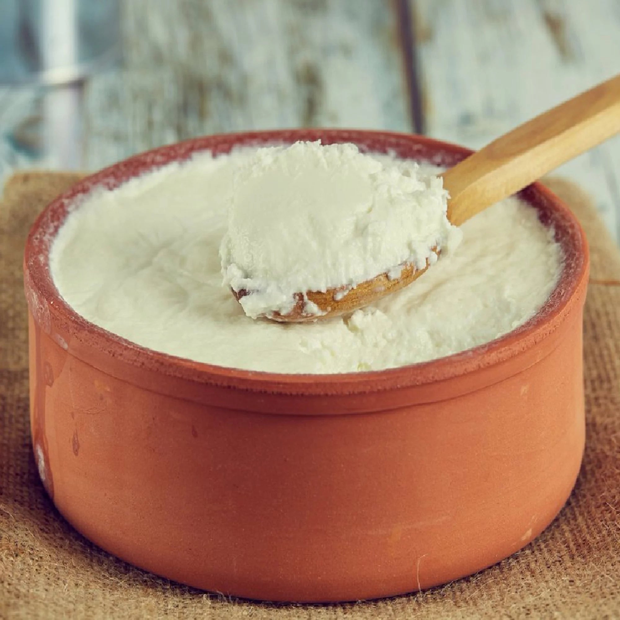 Glazed Terracotta Clay Yogurt Pot, 2.5 qt Casserole Dish X619280