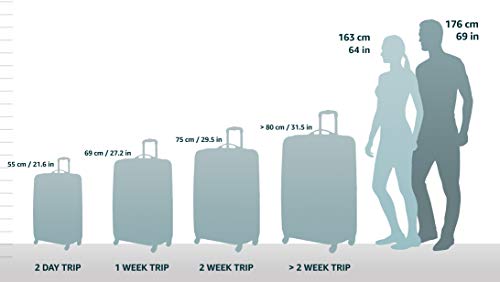 Rockland Melrose Upright Wheeled Underseater Carry-On Luggage, Black, 15-Inch A15475