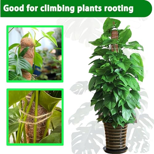 Moss Pole 2 Pack 17 Inch Plant Support for Climbing Indoor Plants S204376