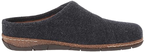 Earth Women's Ezra2 Clog E1800