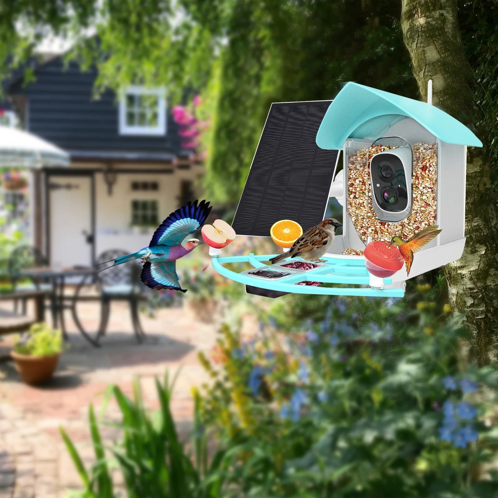 Smart Bird Feeder with Camera Solar Powered 1080P WiFi Waterproof S736795