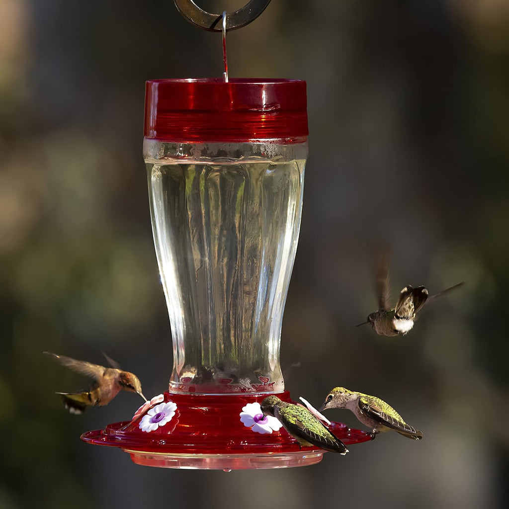 More Birds Bird Health+ Big Gulp Hummingbird Feeder, Glass, 40 oz, 5 Stations T622