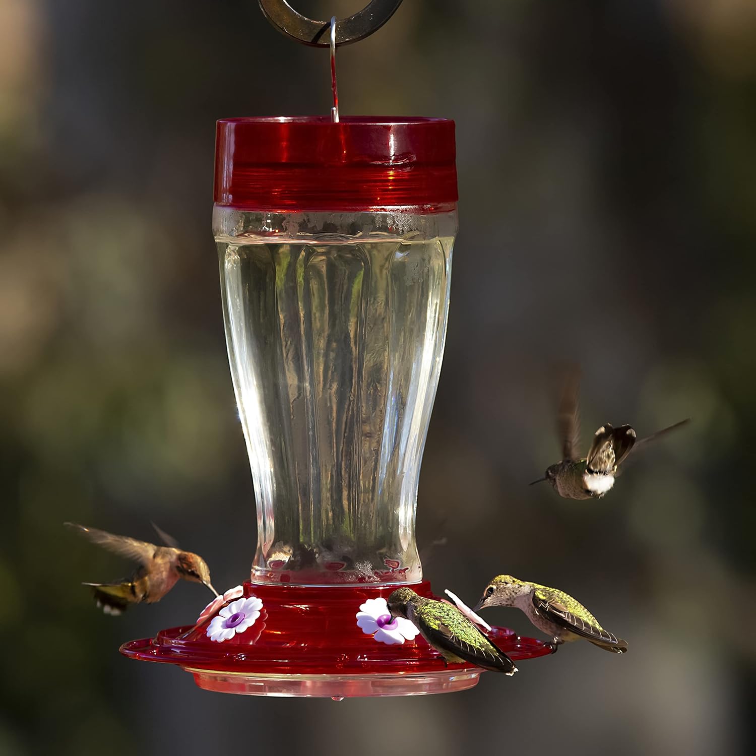 More Birds Bird Health+ Big Gulp Hummingbird Feeder, Glass, 40 oz, 5 Stations T622