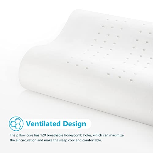 AM AEROMAX Queen Size Firm Contour Memory Foam Pillow for Neck Pain Relief A45072