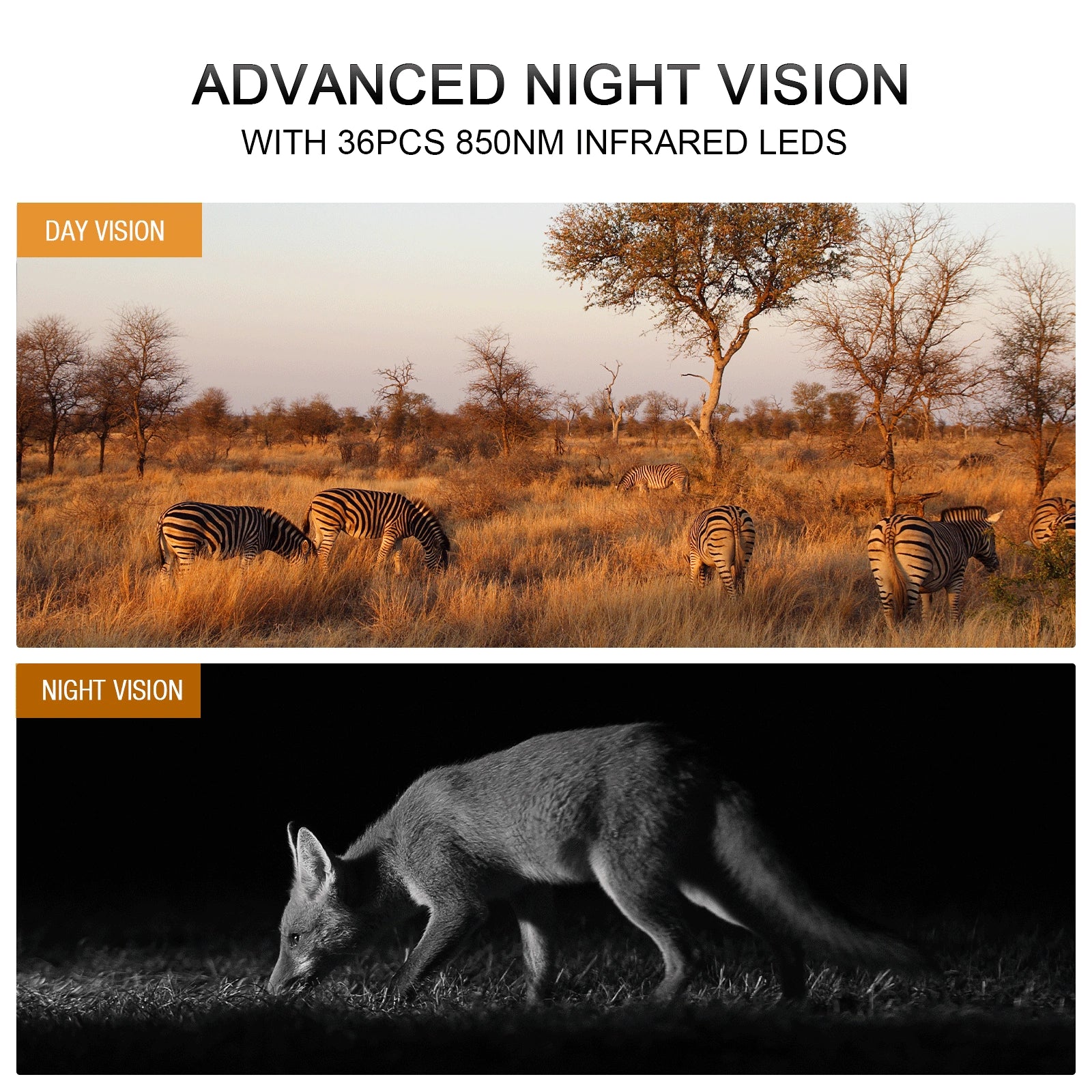 CAMPARK Solar Powered 4K WiFi Trail Camera with Night Vision I245