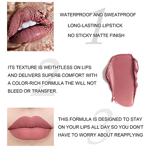 Matte Liquid Lipstick Set - Long-Lasting Waterproof Lip Stain (Light Red) W889