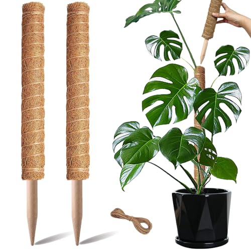 Moss Pole, 2 Pack 17 Inch Monstera Plant Support for Climbing Plants Accessories Indoor, Stackable Moss Poles Plant Support Stakes, Coir Plant Pole Sticks for Potted Plants, Pothos, Philodendron