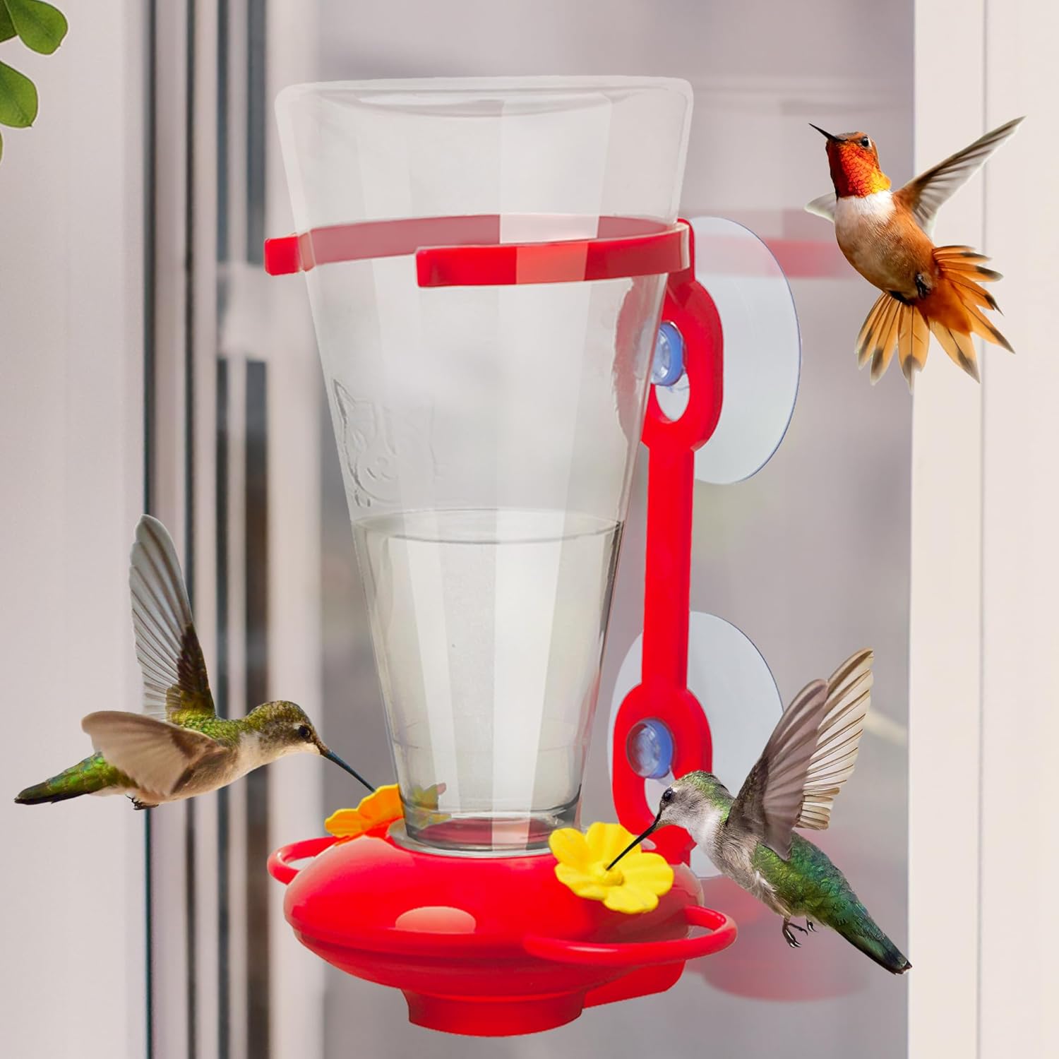 Window Hummingbird Feeders for Outdoors with Strong Suction Cups V53843
