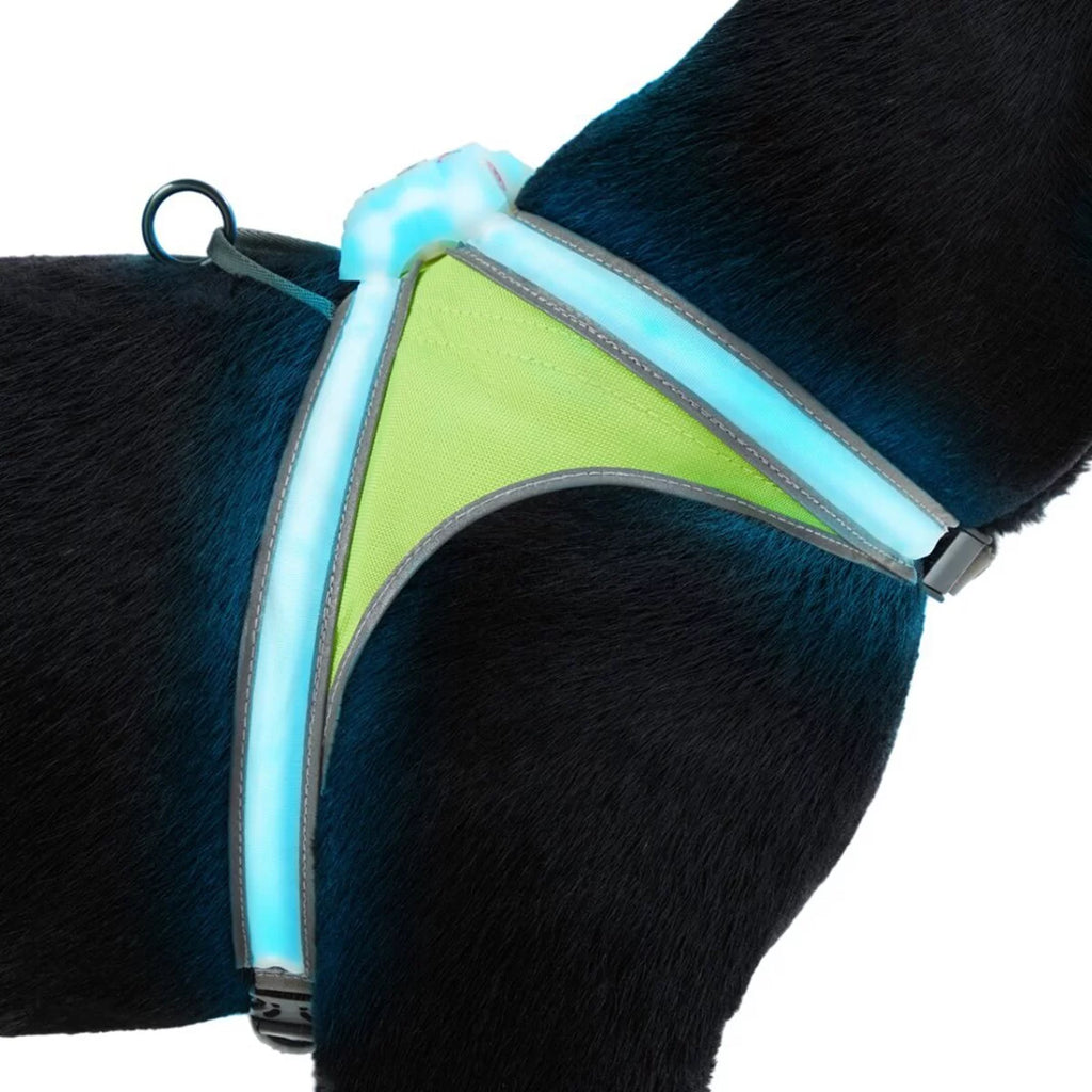 Noxgear Lighthound Reflective LED Dog Harness - XL O16617