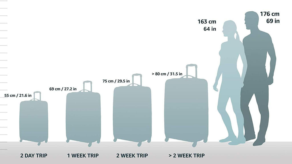 Rockland Melbourne Hardside Expandable Spinner Luggage, Charcoal, Carry-On 20-Inch X61714