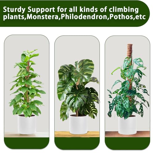 Moss Pole 2 Pack 17 Inch Plant Support for Climbing Indoor Plants S204376