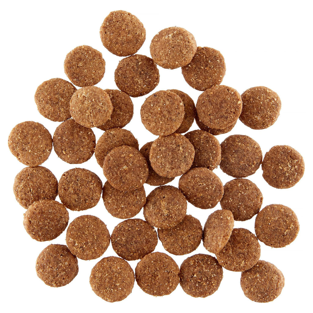 Kirkland Signature Lamb, Rice & Vegetable Dry Dog Food, 40 lb Z722391