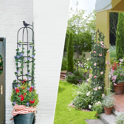 2 Pack Garden Obelisk Trellis for Climbing Plants Indoor Outdoor 6ft Z51383