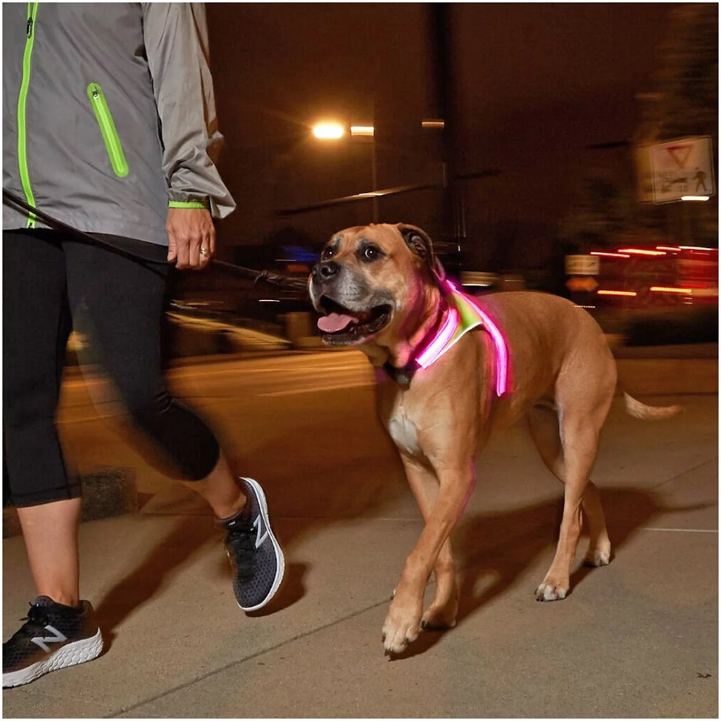Noxgear Lighthound Reflective LED Dog Harness - XL O16617