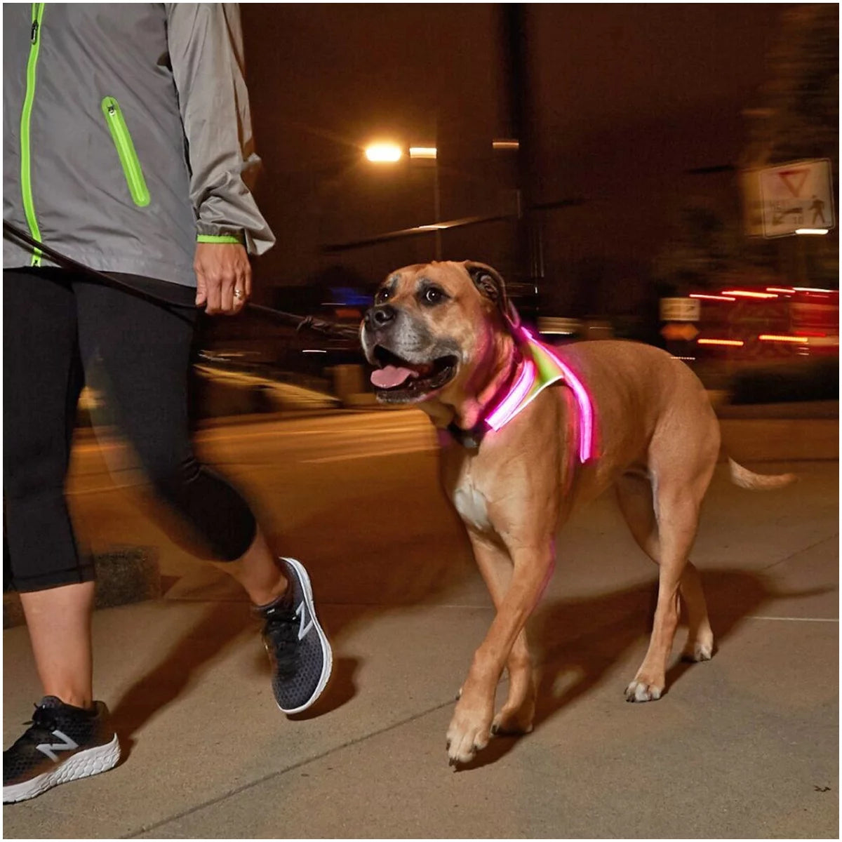 Noxgear Lighthound Reflective LED Dog Harness - XL O16617