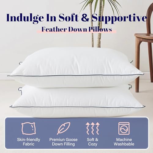 Cosybay Goose Feather and Down Bed Pillow, King Size, 2 Pack C683860