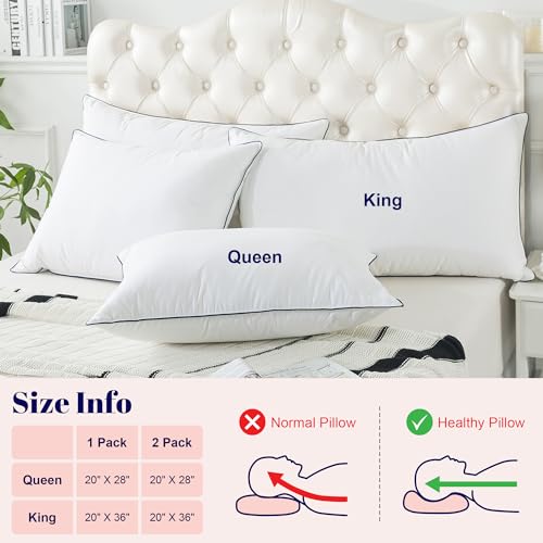 Cosybay Goose Feather and Down Bed Pillow, King Size, 2 Pack C683860