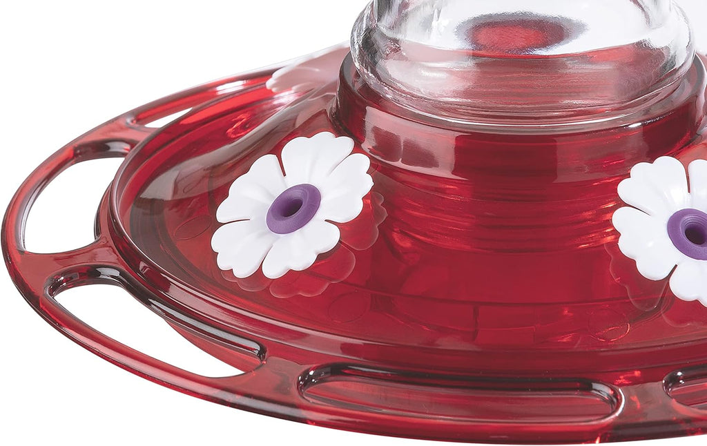 More Birds Bird Health+ Big Gulp Hummingbird Feeder, Glass, 40 oz, 5 Stations T622