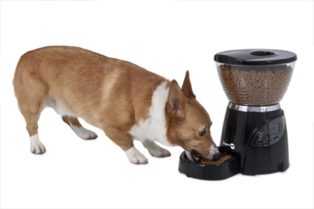 Aspen Pet Lebistro Programmable Dog and Cat Food Dispenser 18 Cup U97962