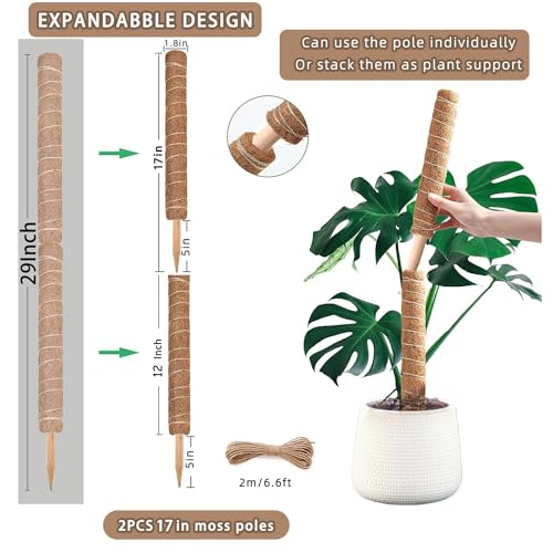 Moss Pole 2 Pack 17 Inch Plant Support for Climbing Indoor Plants S204376