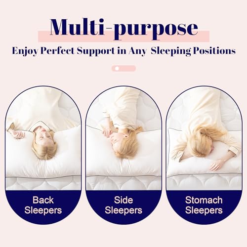Cosybay Goose Feather and Down Bed Pillow, King Size, 2 Pack C683860