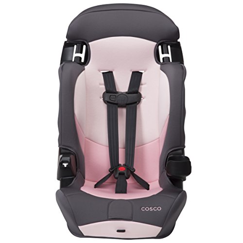 Cosco® Finale DX 2-in-1 Booster Car Seat, Dusk D331471