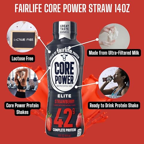 Fairlife Core Power Elite 42g High Protein Milk Shake, Chocolate, 14 Fl Oz (Pack of 12) & Key Chain T418723
