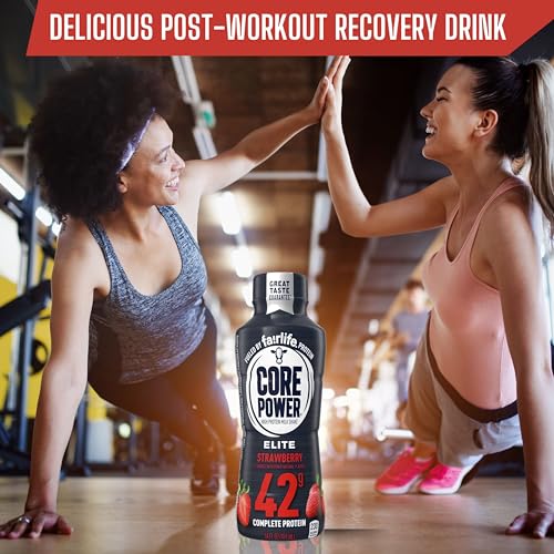 Fairlife Core Power Elite 42g High Protein Milk Shake, Chocolate, 14 Fl Oz (Pack of 12) & Key Chain T418723