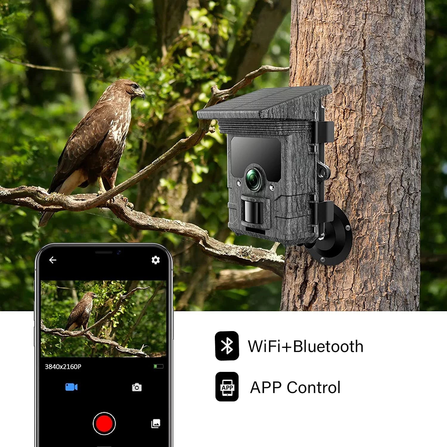 CAMPARK Solar Powered 4K WiFi Trail Camera with Night Vision I245