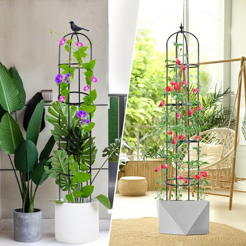 2 Pack Garden Obelisk Trellis for Climbing Plants Indoor Outdoor 6ft Z51383