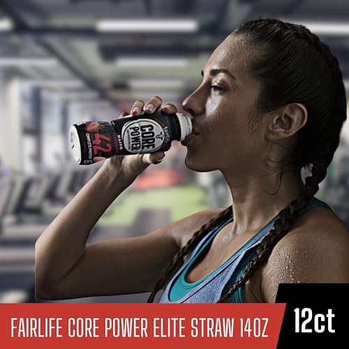 Fairlife Core Power Elite 42g High Protein Milk Shake, Chocolate, 14 Fl Oz (Pack of 12) & Key Chain T418723