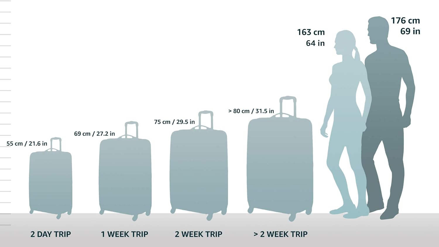 Rockland Melbourne Hardside Spinner Luggage, Carry-On 20", Metallic J623759