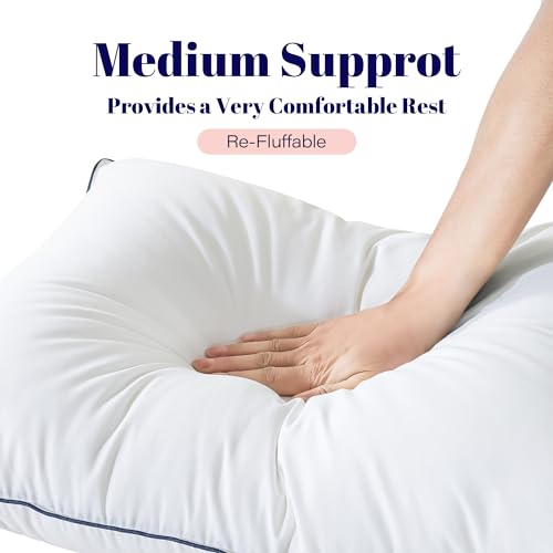 Cosybay Goose Feather and Down Bed Pillow, King Size, 2 Pack C683860