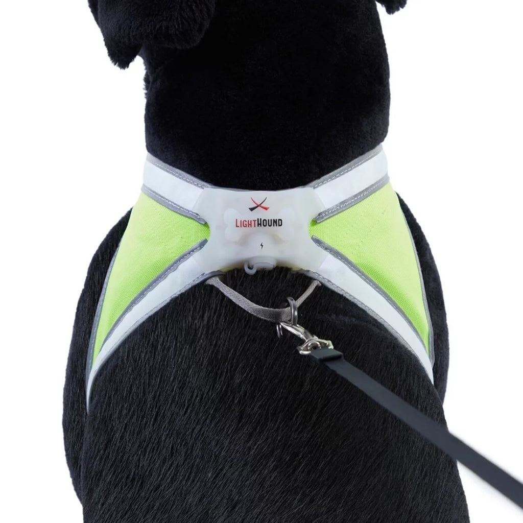 Noxgear Lighthound Reflective LED Dog Harness - XL O16617