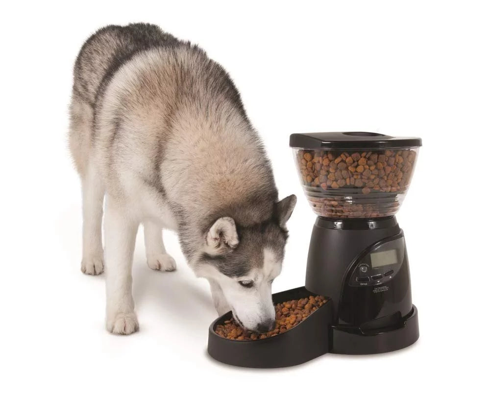Aspen Pet Lebistro Programmable Dog and Cat Food Dispenser 18 Cup U97962