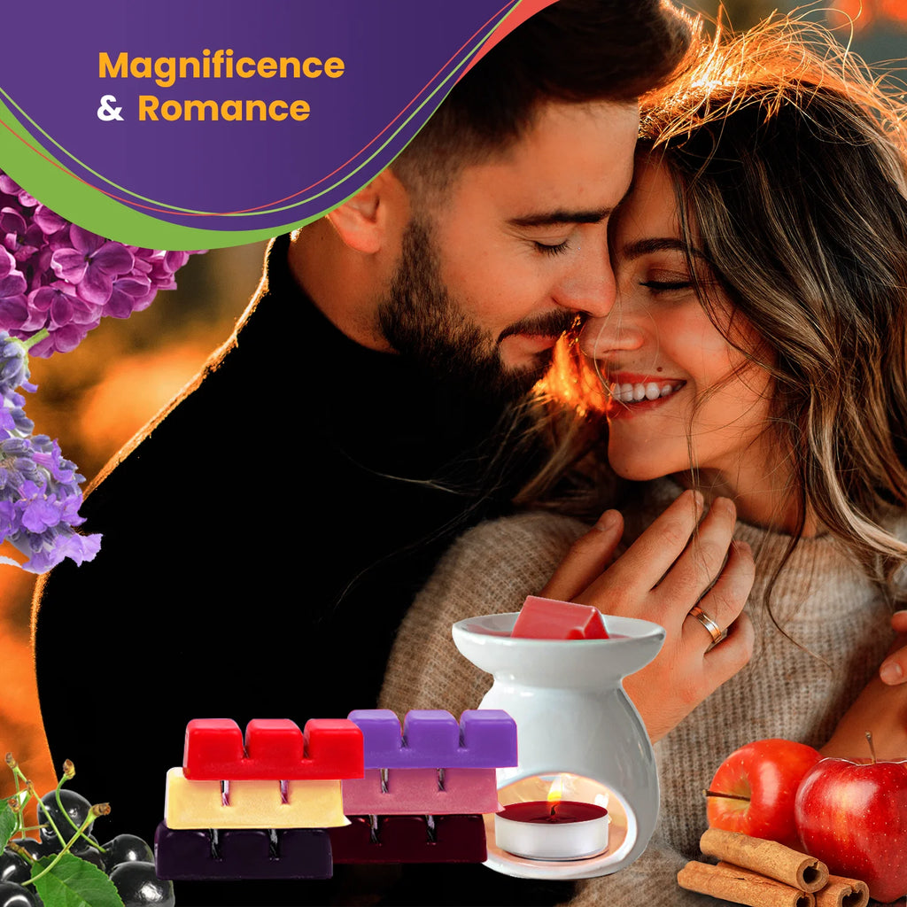 Scented Wax Melts Variety Collection E83938