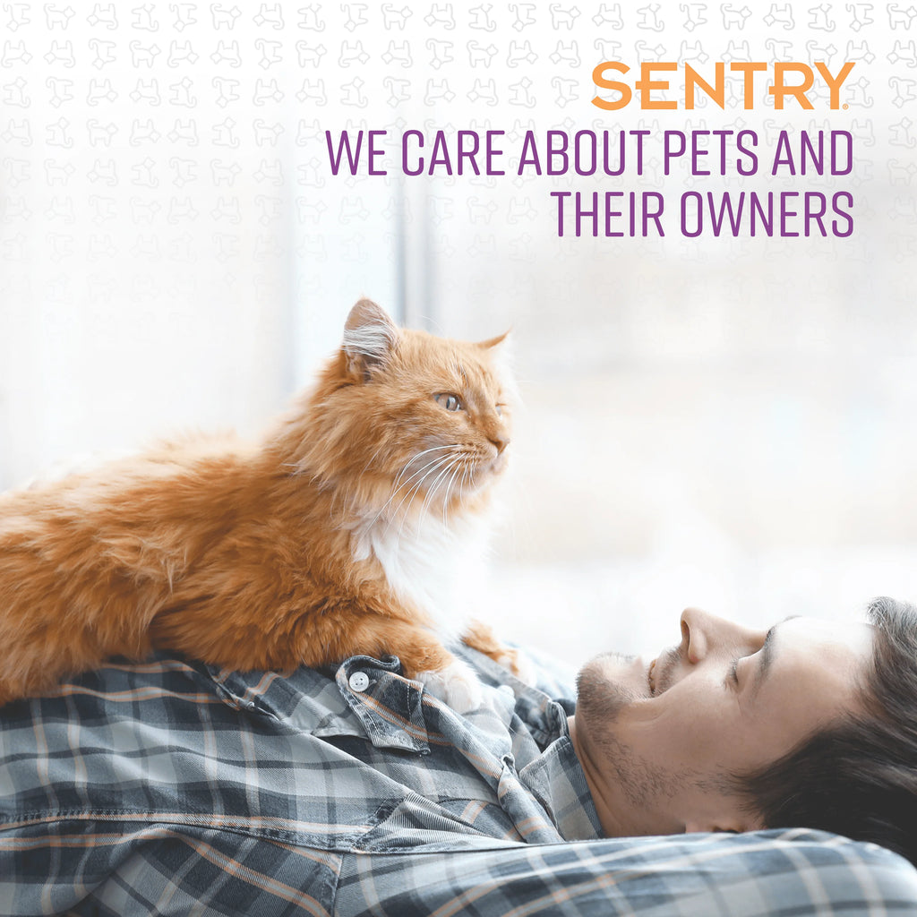 SENTRY Pheromone Calming Spray for Cats, 1.62 fl oz R914