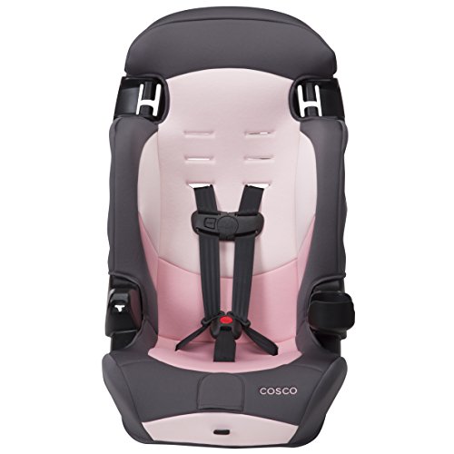Cosco® Finale DX 2-in-1 Booster Car Seat, Dusk