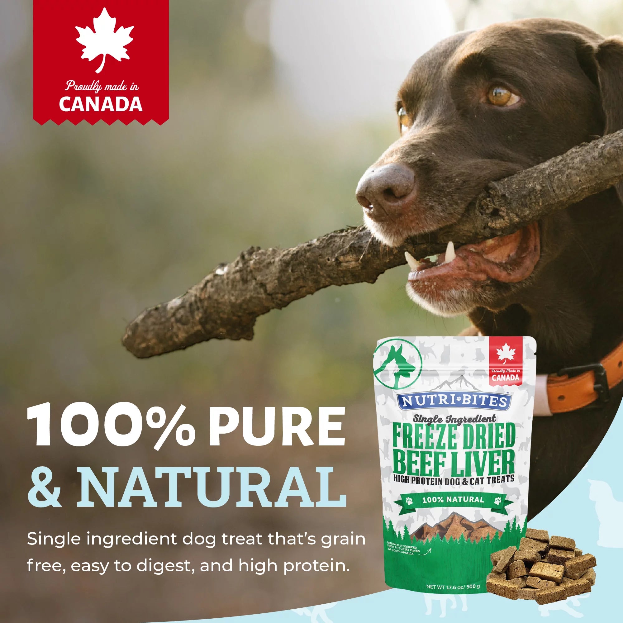 Canature NutriBites Freeze Dried Beef Liver Dog and Cat Treat 3 Pack D21072