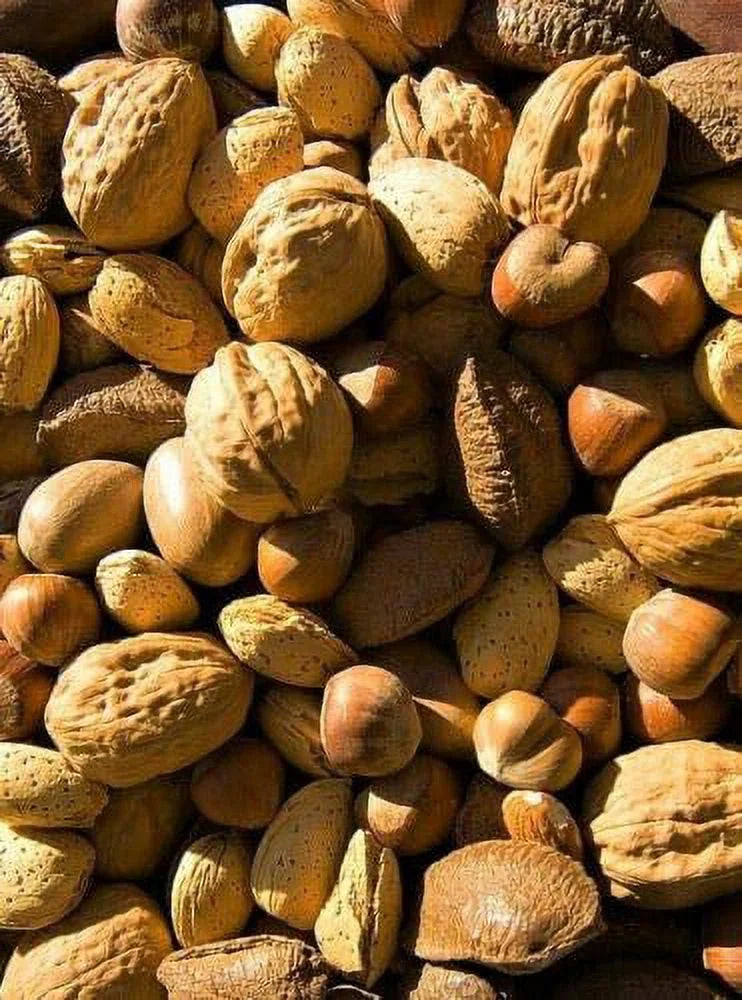 California Fresh Raw In-shell Whole Mixed Nuts 4 LB G57253