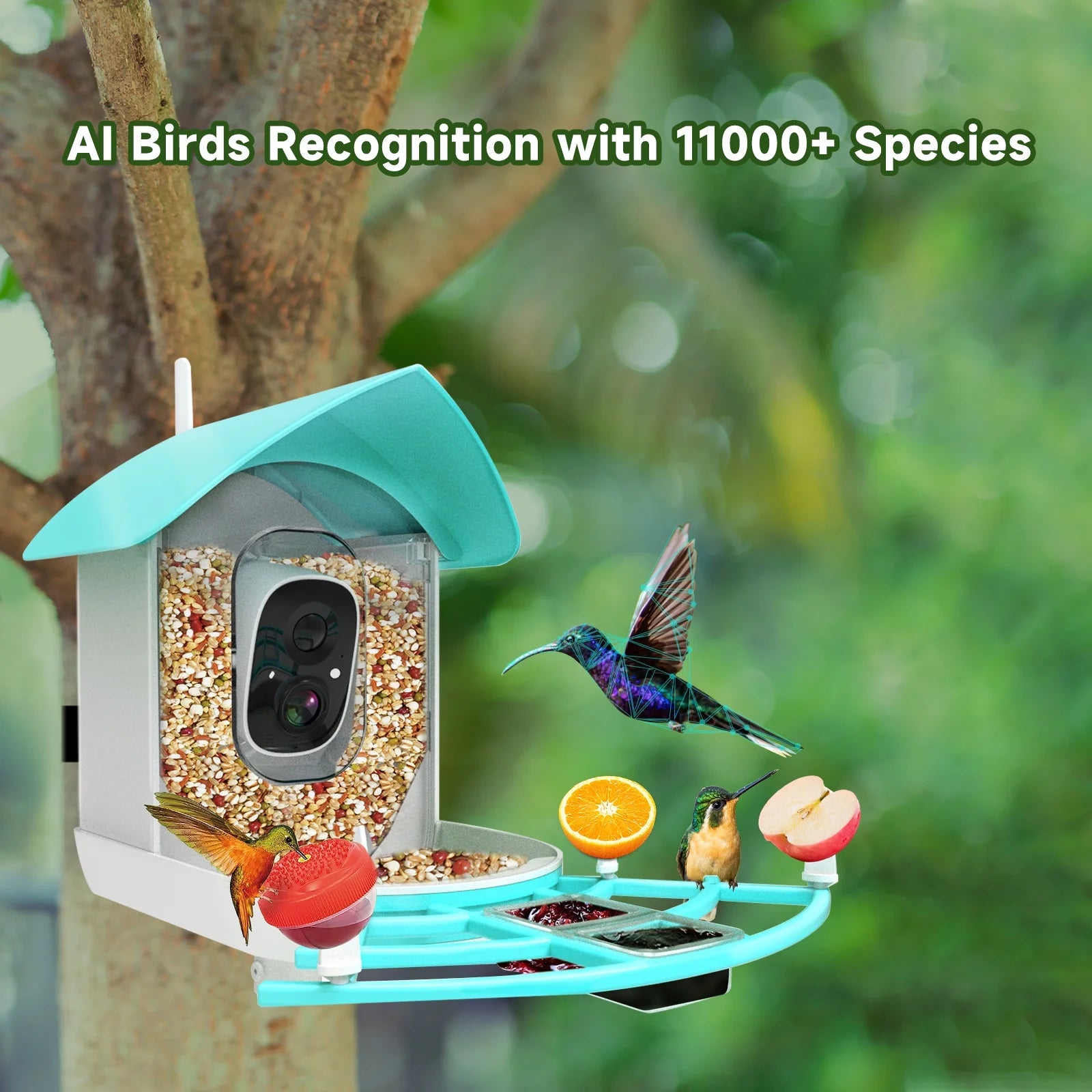Smart Bird Feeder with Camera Solar Powered 1080P WiFi Waterproof S736795