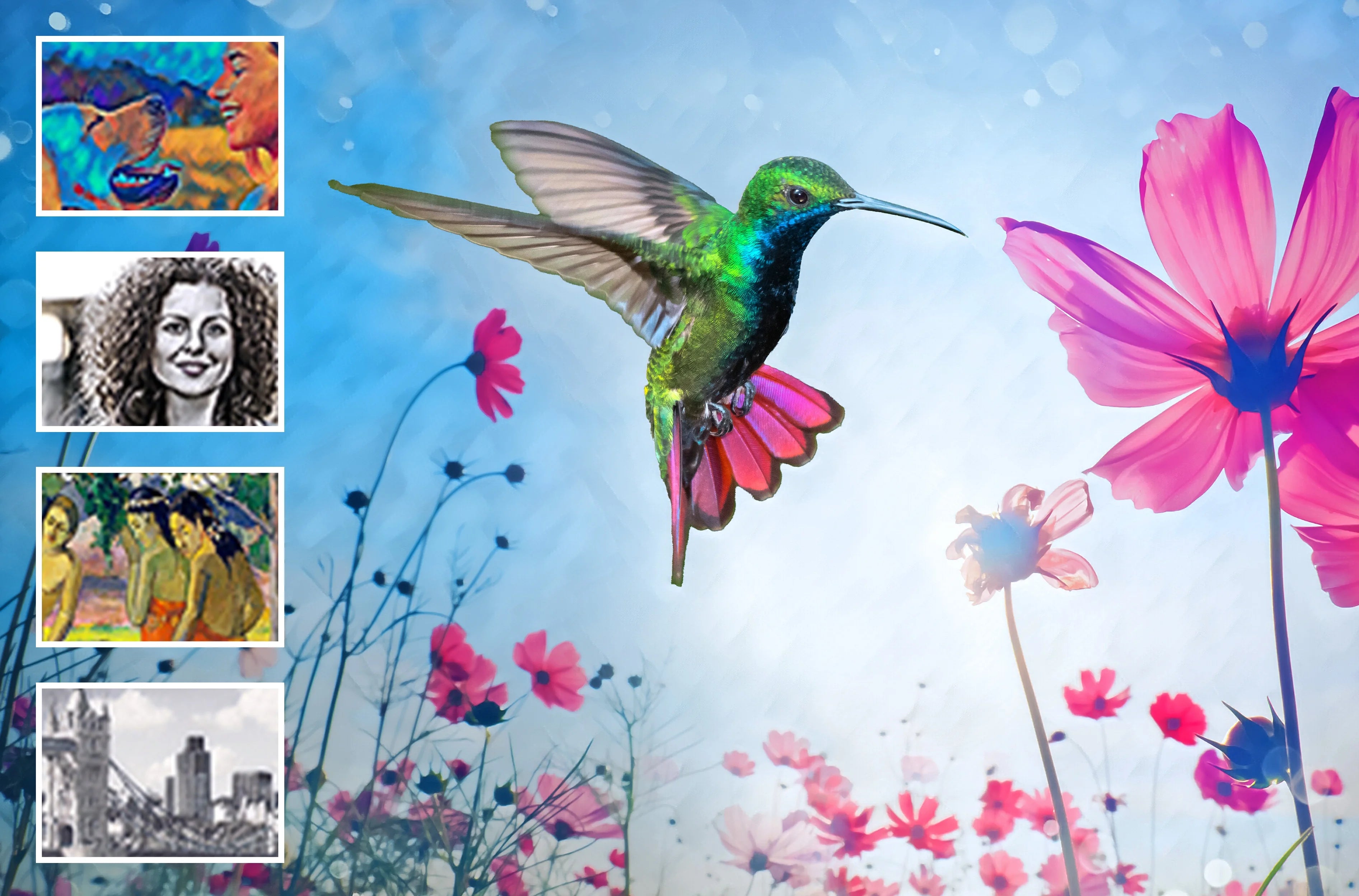 Adobe Photoshop Elements 2024 & Premiere Elements 2024 for Windows R8241