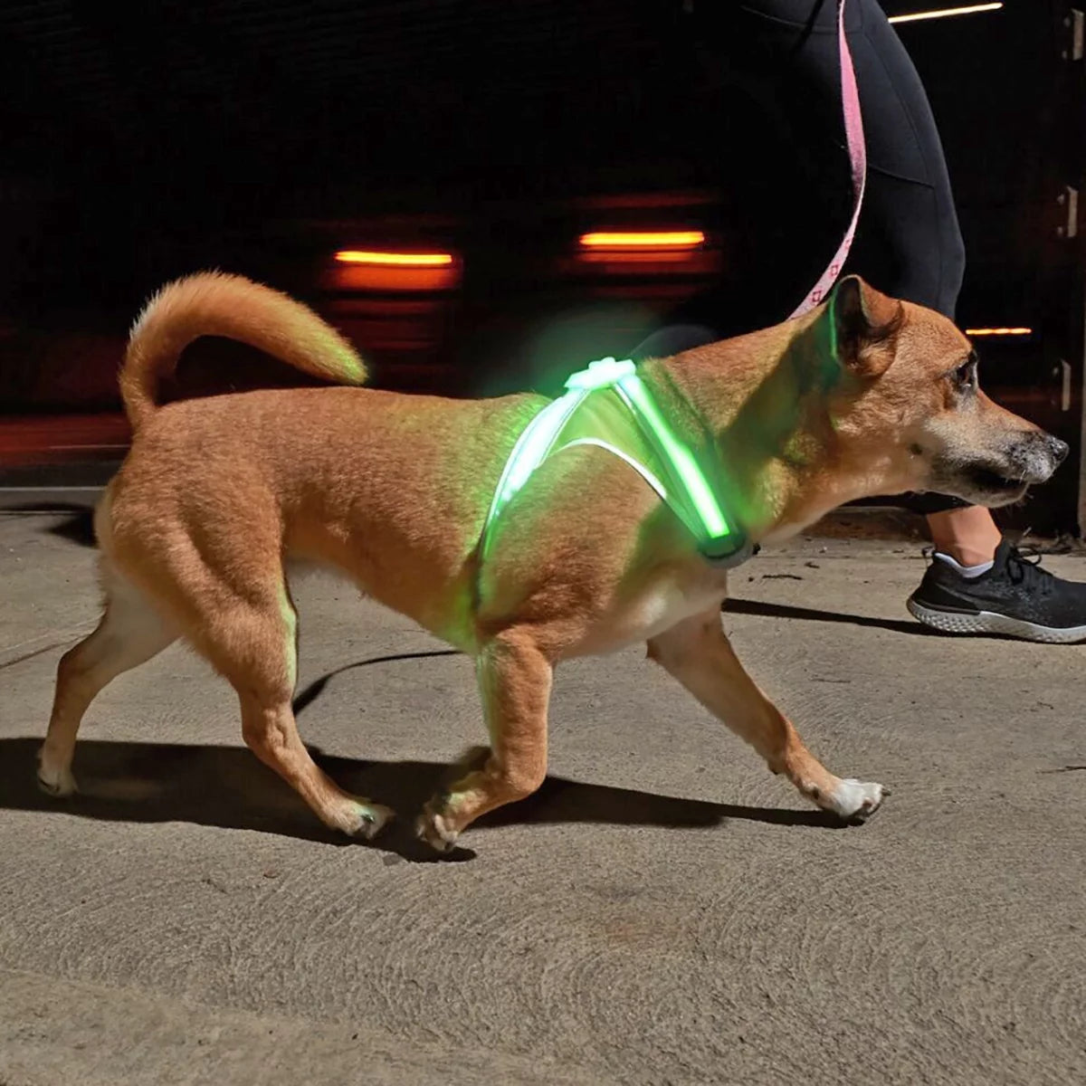 Noxgear Lighthound Reflective LED Dog Harness - XL O16617