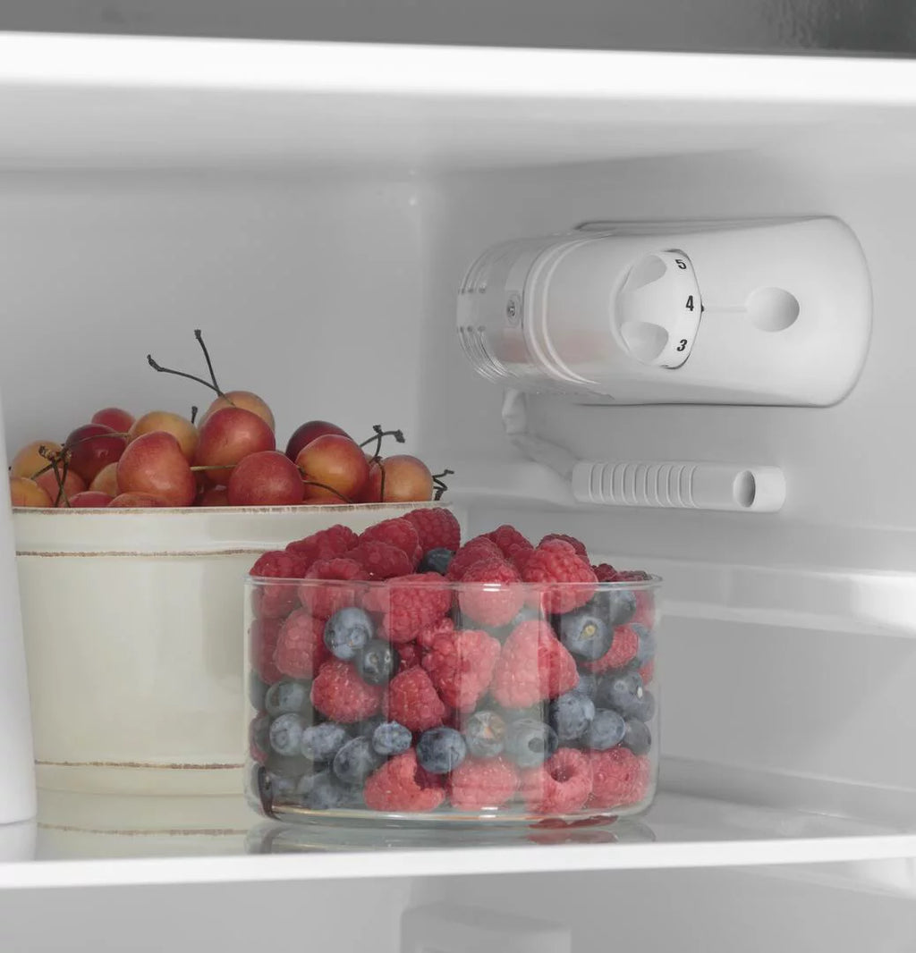 GE APPLIANCES GPV10FGNBB 9.8 Cu. Ft. 12V Top-Freezer Refrigerator P26298