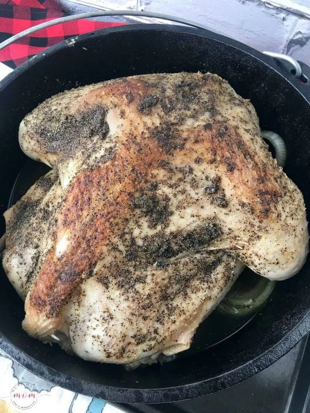 Lodge Cast Iron 5 Quart Seasoned Dutch Oven A687
