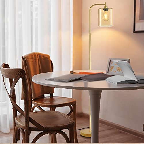 BoostArea Industrial Floor Lamp with Iron Mesh Glass Shade, 6W LED Bulb Included X855544