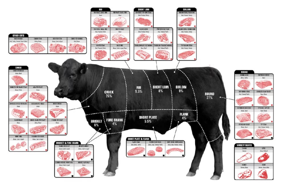 Beef Cuts Butcher Chart Cattle Diagram Poster Metal Print 12In x 16In 12x16 Square Adults Poster Time