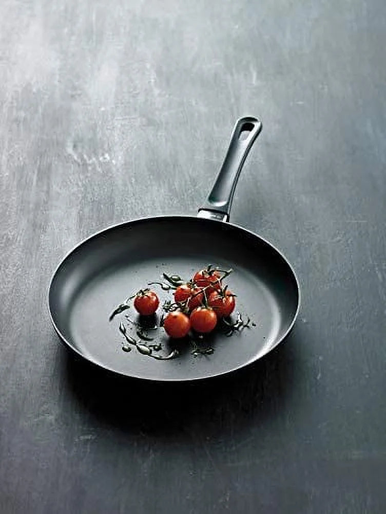 Scanpan Black Cast Aluminum 10.25-Inch Induction Fry Pan G4868
