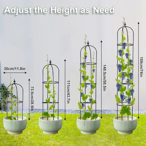 2 Pack Garden Obelisk Trellis for Climbing Plants Indoor Outdoor 6ft Z51383