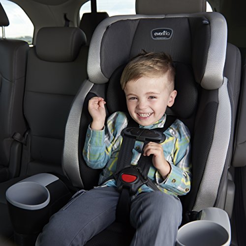 Evenflo Maestro Sport Harness Highback Booster Car Seat, Granite Gray M218